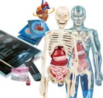 Clementoni - ANATOMIA - immagine 2